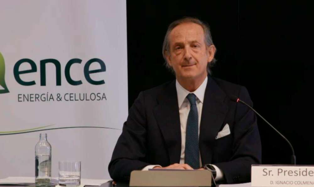Ignacio de Colmenares, consejero delegado de Ence, durante la junta de accionistas / Ence