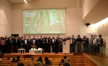 Representantes de las empresas adheridas a Pino de Galicia durante el acto de constitución de la marca