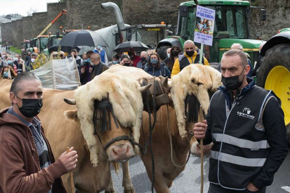 Protesta de los ganaderos convocada por Agromuralla en Lugo / EP