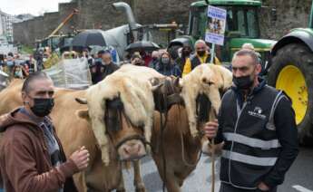 Protesta de los ganaderos convocada por Agromuralla en Lugo / EP