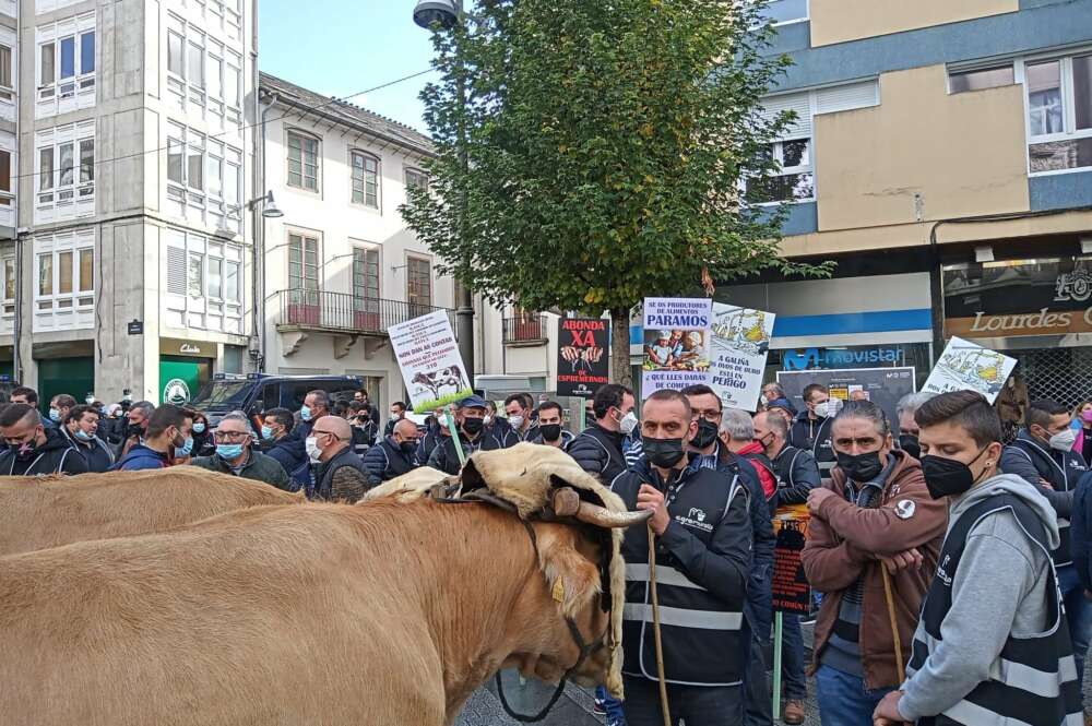 Protesta de ganaderos en Lugo / Agromuralla