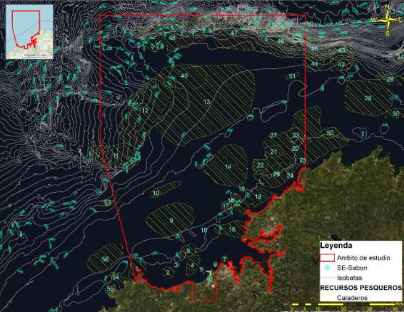 Caladeros en el área de estudio del parque eólico marino de Bluefloat y Sener (Fuente: proyecto inicial presentado ante el Miteco)