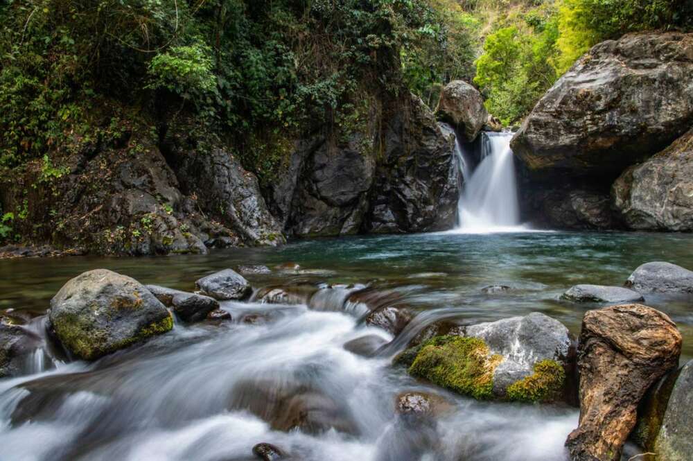 imagen Viaqua Dia Mundial del Medio Ambiente 2022