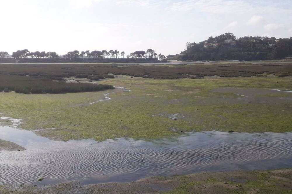 Estuario de la Foz, entre Nigrán, Gondomar y Baiona