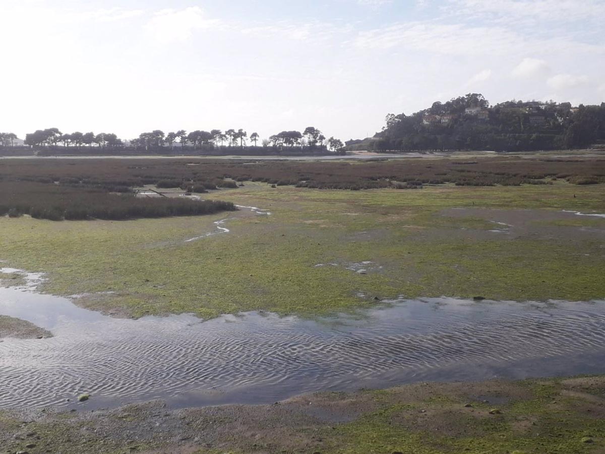 Estuario de la Foz, entre Nigrán, Gondomar y Baiona