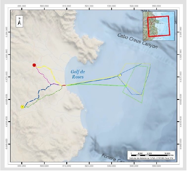 Zona potencia en la que Iberdrola estudia ubicaciones para su parque eólico marino Gavina