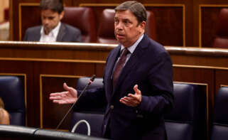 Ministro de Agricultura, Pesca y Alimentación, Luis Planas, en el Congreso