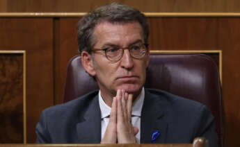 El presidente del PP, Alberto Núñez Feijóo, durante el debate sobre el Estado de la Nación en el Congreso