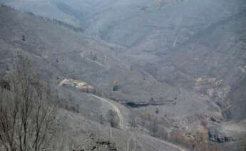 Vista general de la zona afectada por el fuego de Folgoso do Courel