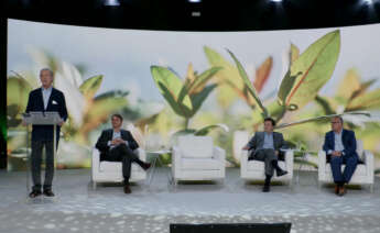 Ignacio Colmenares, presidente de Ence, durante el Capital Markets Day