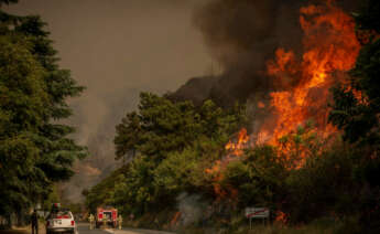 Incendio forestal registrado en Riodolas, en Carballeda de Valdeorras