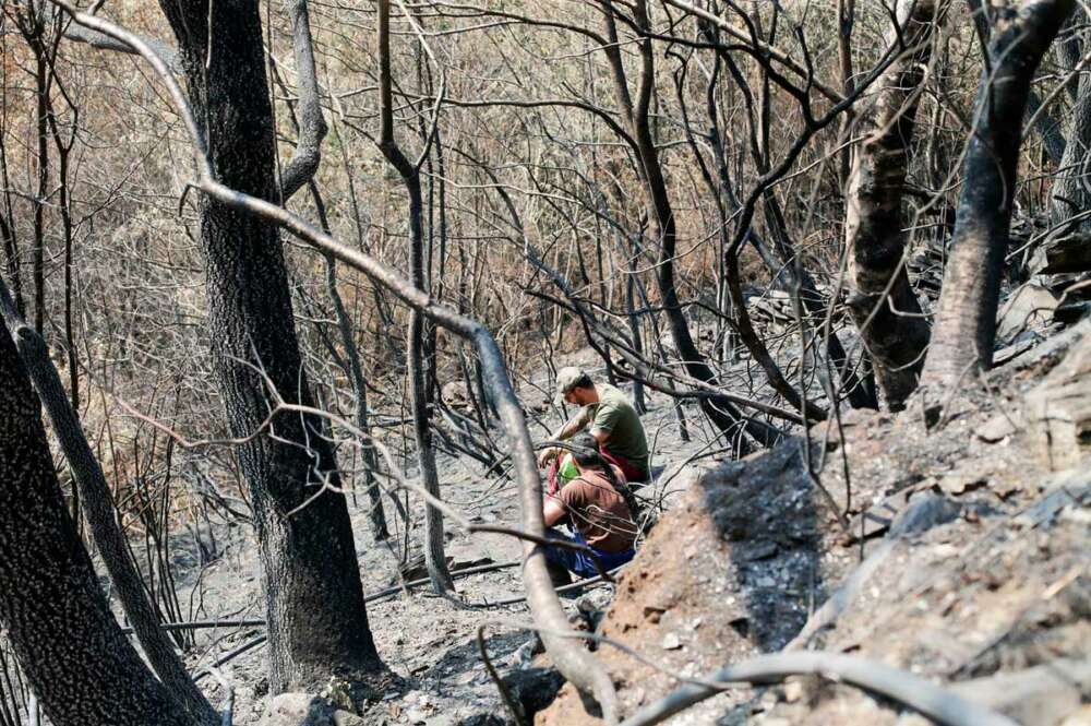 Voluntarios observan exhaustos los daños causados en la Sierra de Courel tras el incendio