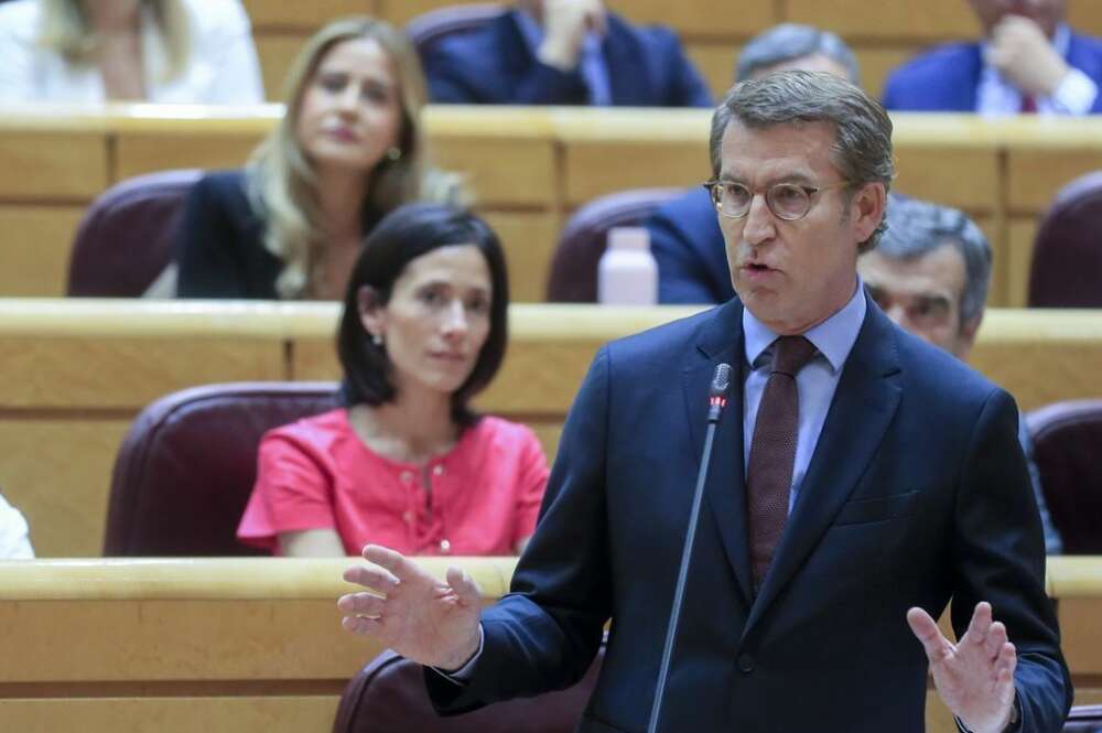 Alberto Núñez Feijóo en el Senado / EFE