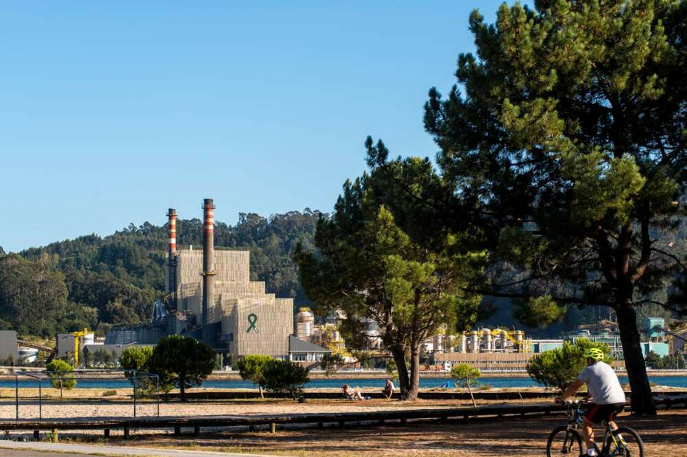 Biofábrica de Ence en Pontevedra