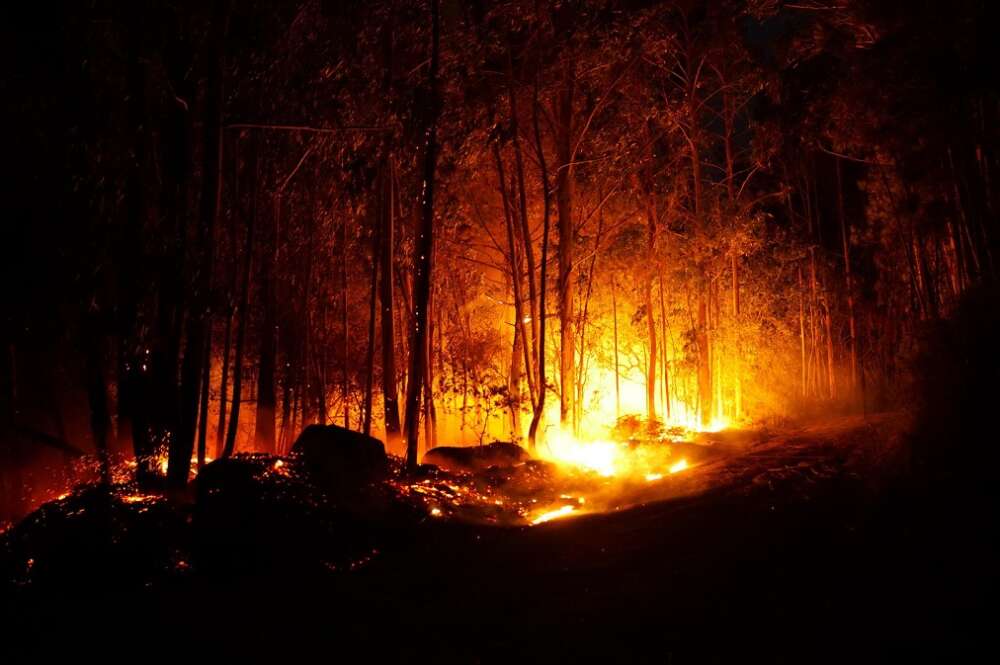 Imagen de un incendio declarado en la zona de Caldas