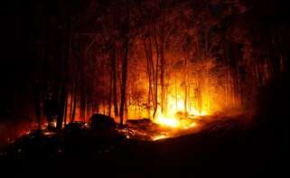 Imagen de un incendio declarado en la zona de Caldas