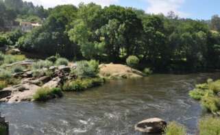 Caudal del Río Tambre a su paso por Ponte Maceira, en Negreira / Europa Press
