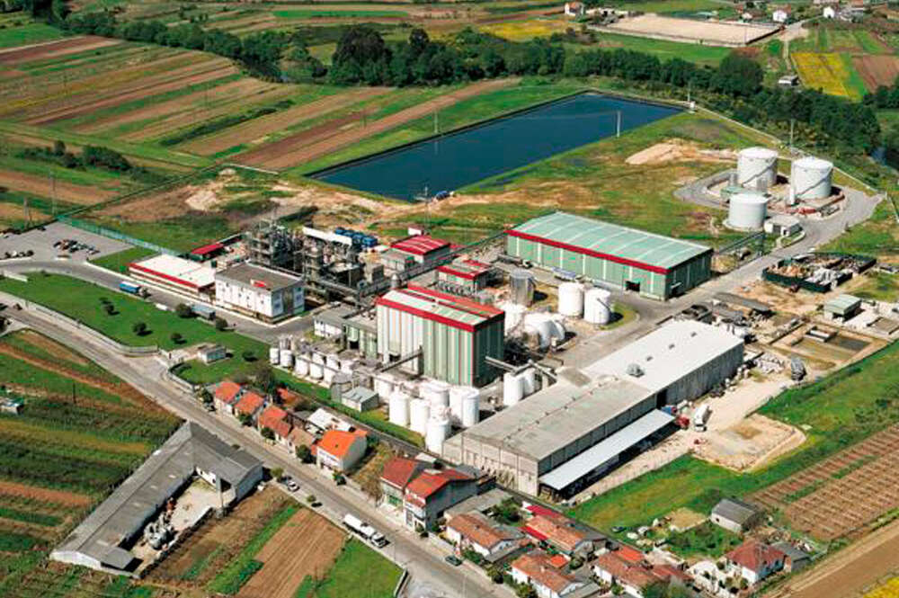 Planta de Foresa en Caldas de Rei