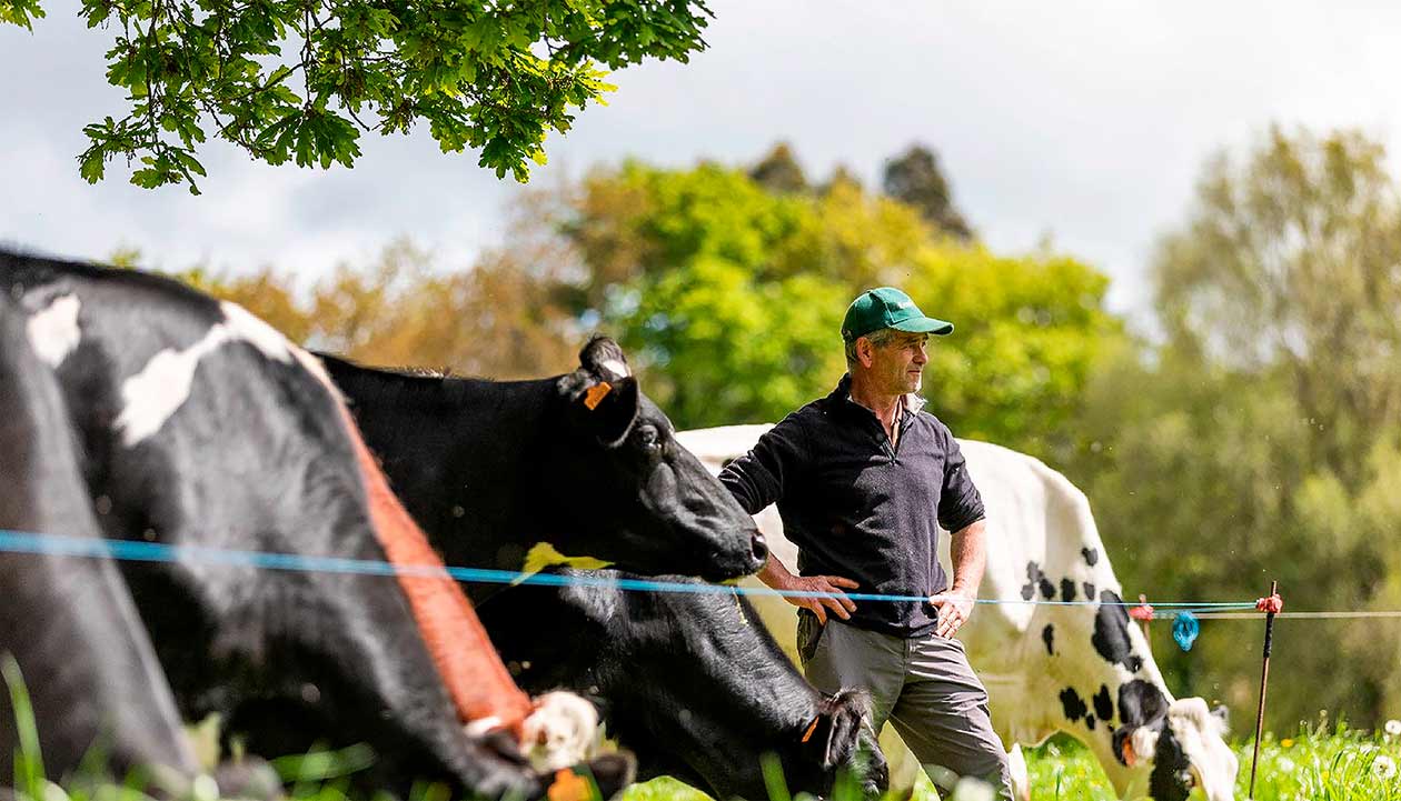 Proveedor local ganadería Vegalsa-Eroski