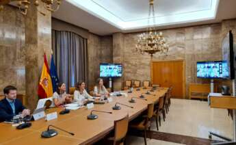 Encuentro telemático de Teresa Ribera y Reyes Maroto con la industria electrointensiva