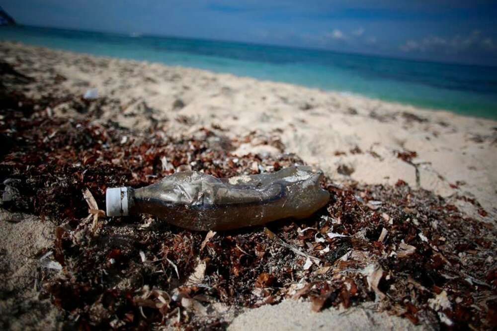 Vista de desechos plásticos en una playa