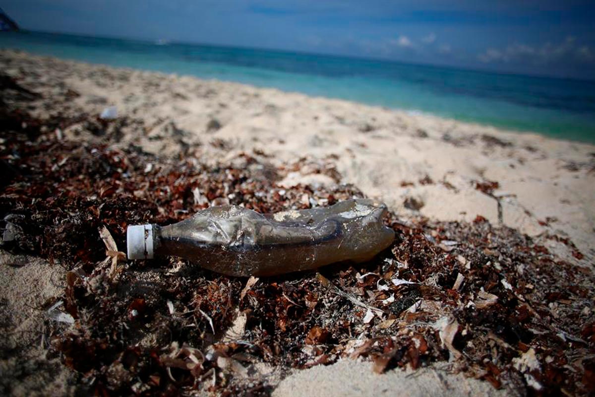 Vista de desechos plásticos en una playa