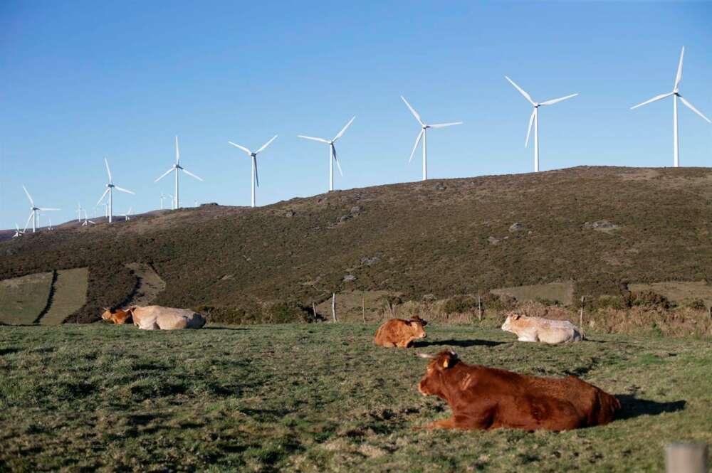 Parque eólico de O Fiouco, de la Serra do Xistral, en la comarca de Terra Cha, en Abadín, en Lugo