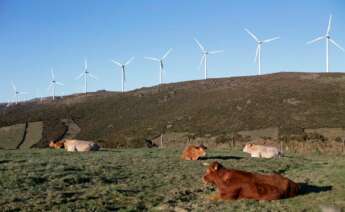 Parque eólico de O Fiouco, de la Serra do Xistral, en la comarca de Terra Cha, en Abadín, en Lugo