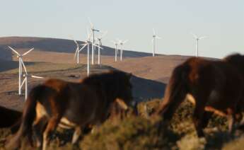 Una veintena de los parques eólicos que recibieron el 'ok' de la Xunta se construirán en reservas de la biosfera / EP