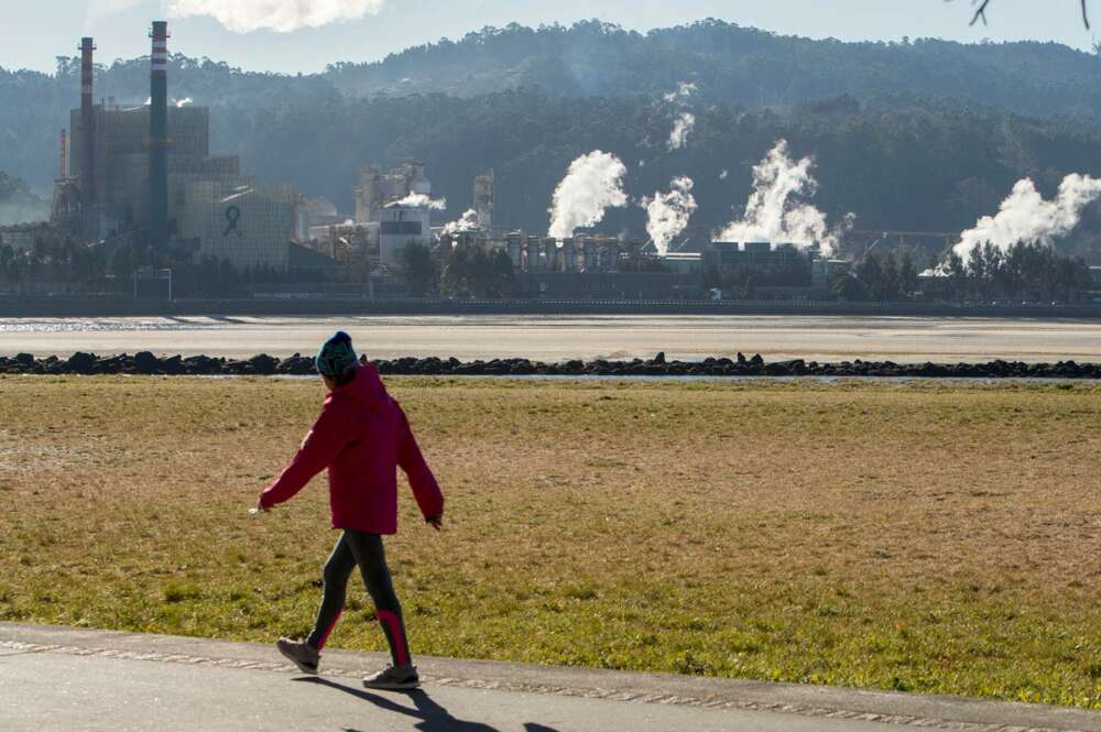 Una mujer pasea junto a la fábrica de Ence en Pontevedra