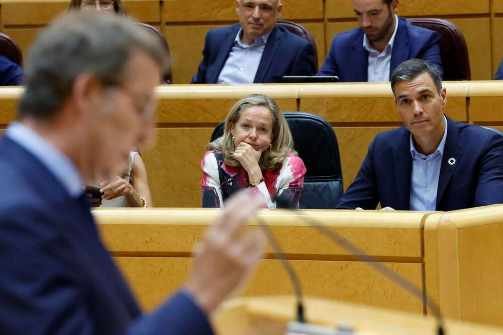 Alberto Núñez Feijóo interviene en el Senado ante la mirada de Pedro Sánchez / EFE