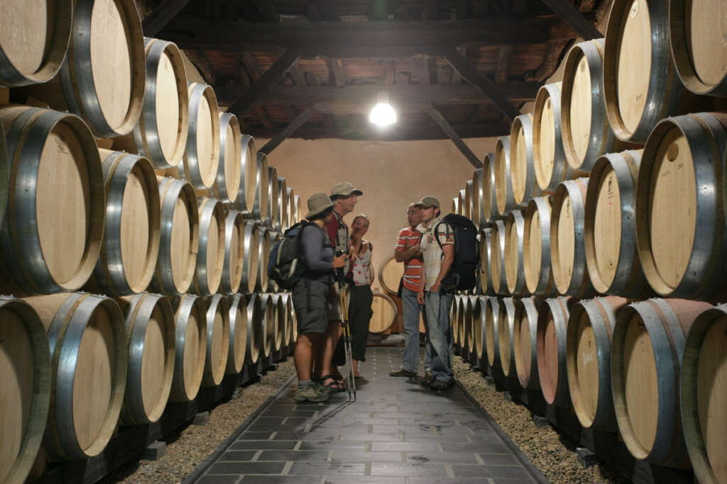 Bodega Cuatro Pasos