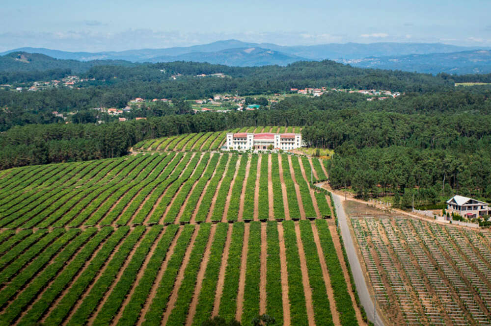 Bodegas La Val