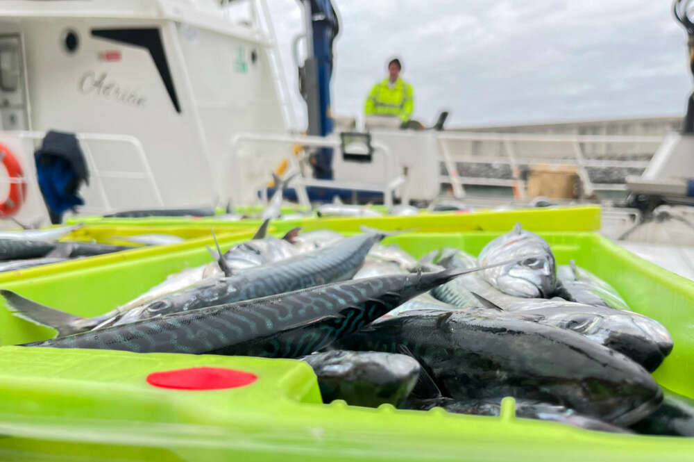 El Gobierno francés anuncia que la UE no prohibirá finalmente la pesca de arrastre en las zonas marinas protegidas