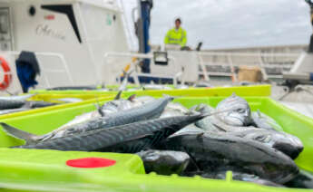El Gobierno francés anuncia que la UE no prohibirá finalmente la pesca de arrastre en las zonas marinas protegidas