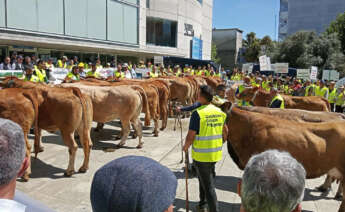 Protesta de ganaderos frente a la sede de la Xunta / Gandeiros Galegos da Suprema