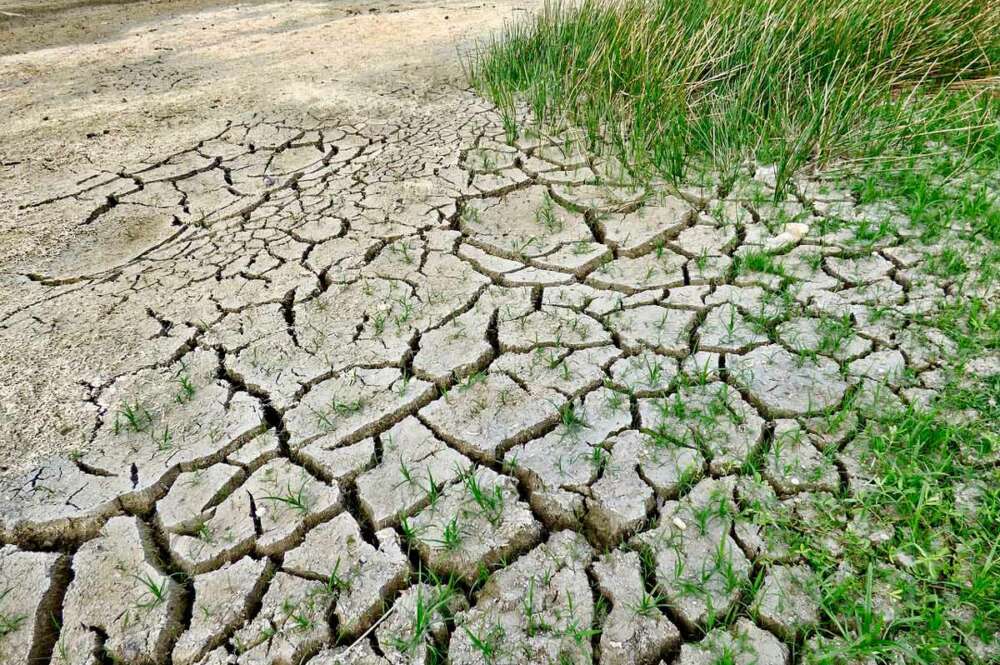 El Gobierno de António Costa informa de la situación de sequía severa de 40 municipios están y de situación extrema de 27