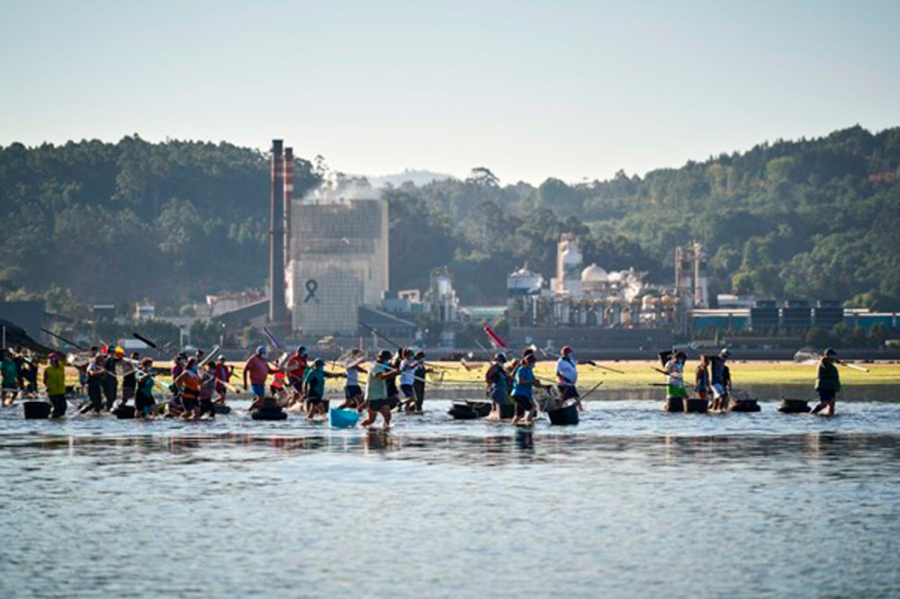 Mariscadoras en Ría de Pontevedra frente a la biofábrica de Ence