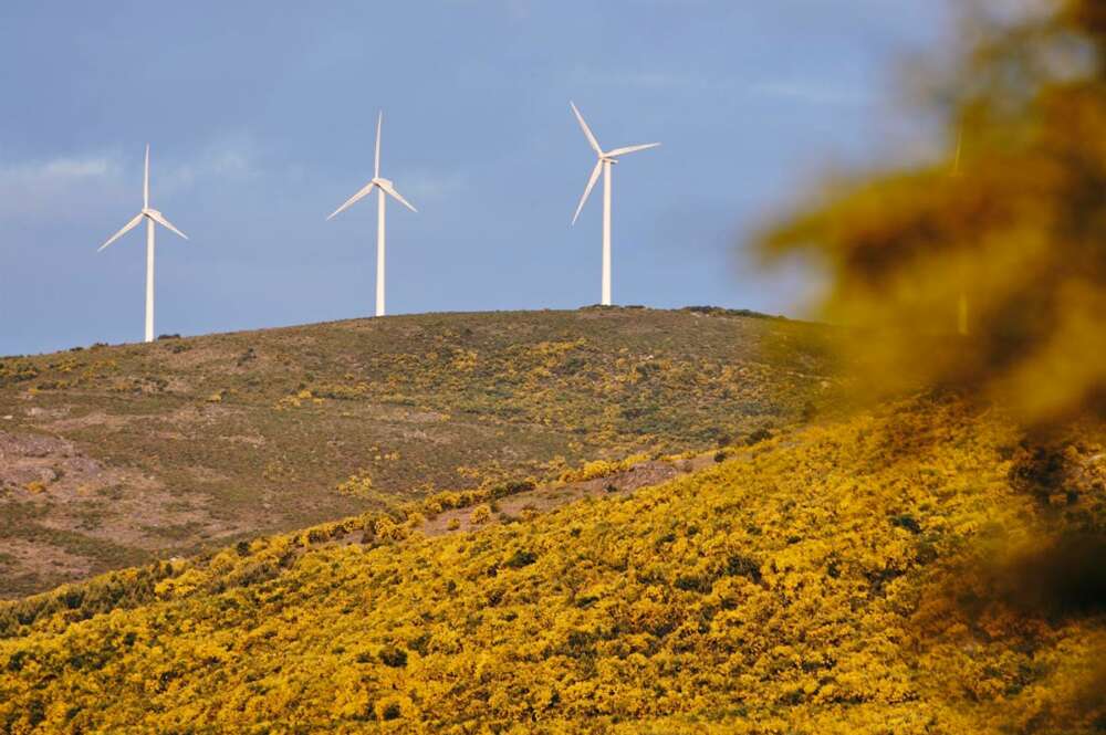 Aerogeneradores en el parque eólico de Serra do Larouco, a 31 de mayo de 2023, en Esgos, Ourense, Galicia (España)