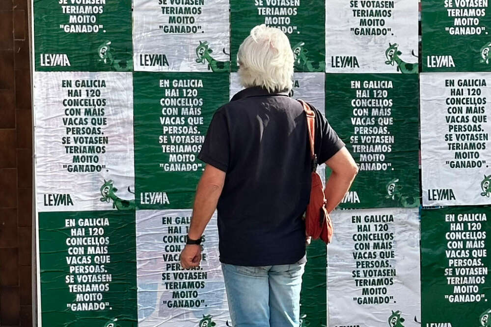 Una persona observa los carteles de la campaña de Leyma