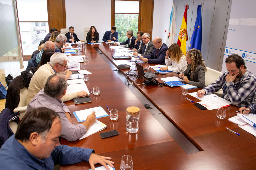 La conselleira de Economía, Industria e Innovación, María Jesús Lorenzana, presidió la Mesa para el impulso de la actividad económica de As Pontes, en la que participaron las administraciones públicas y los agentes económicos y sociales / Xunta