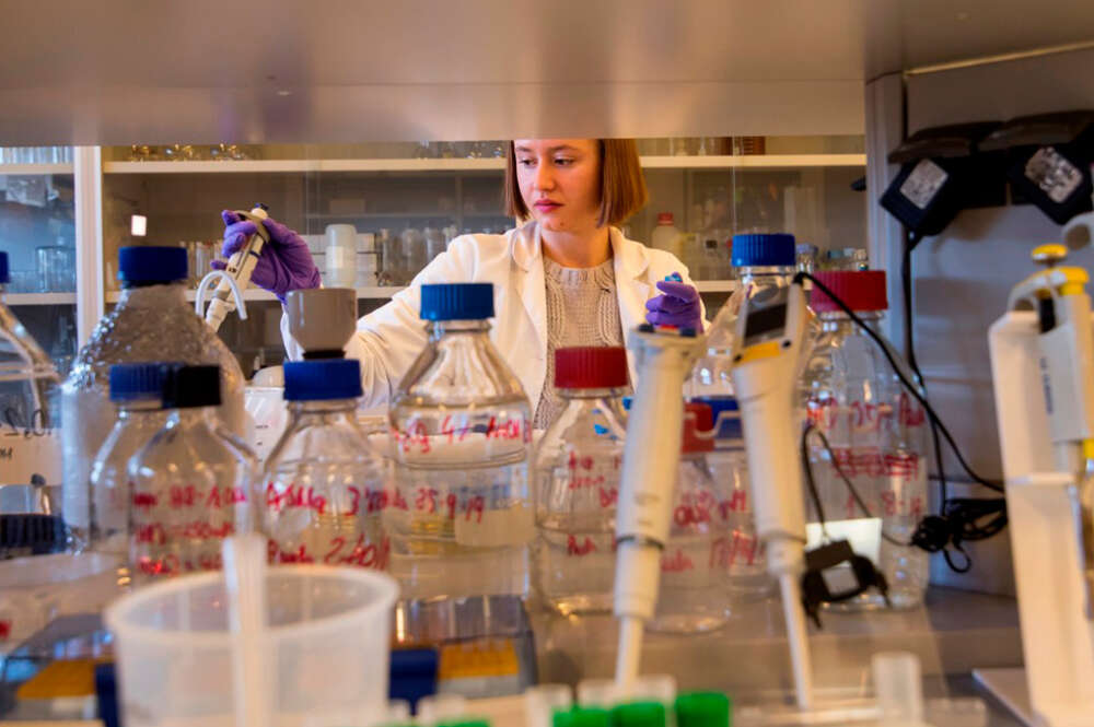 Una científica química trabaja en el Laboratorio de Investigación en Litiasis Renal.