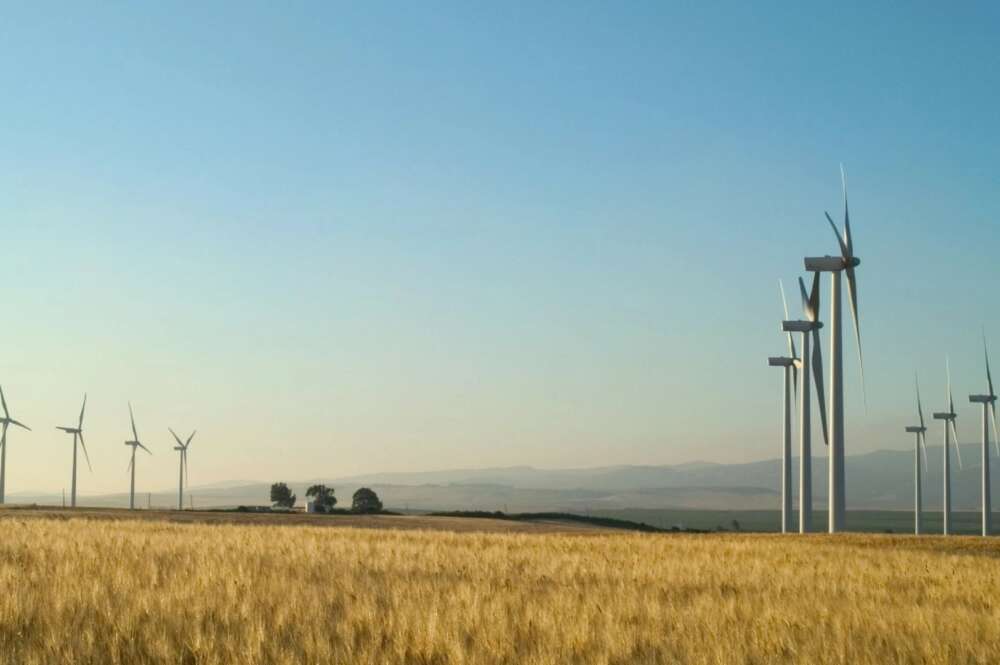 Parques eólicos de Enerfin en Cádiz