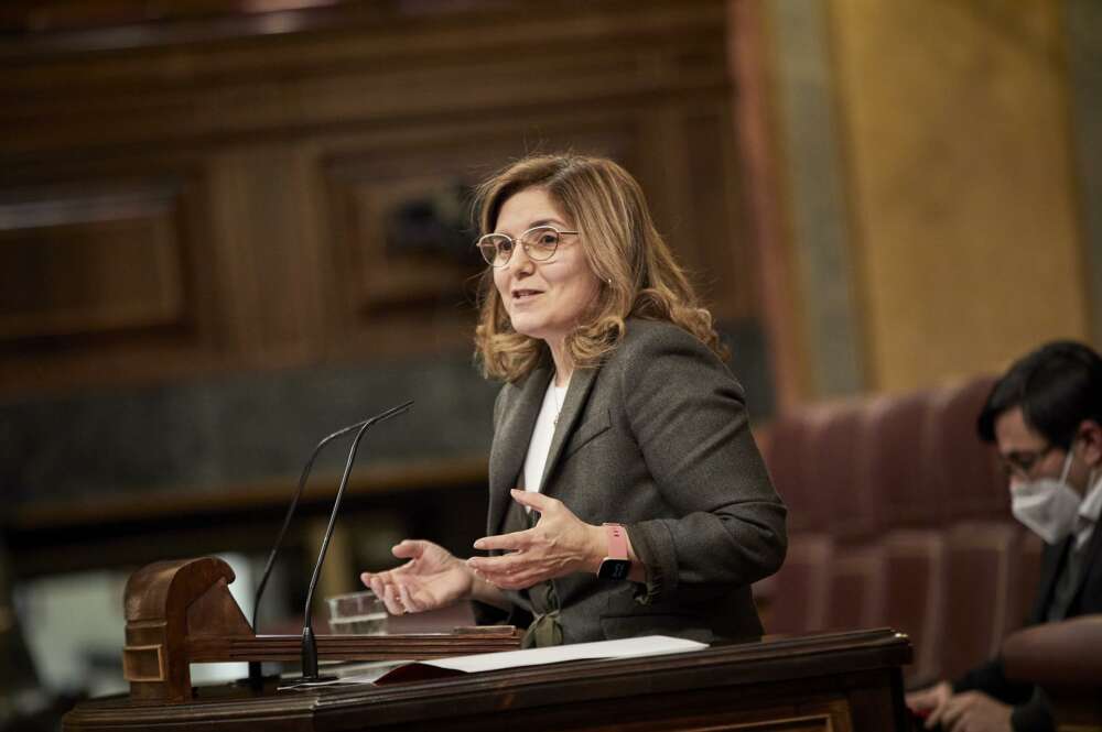 La diputada socialista Pilar Cancela interviene durante una sesión plenaria en el Congreso de los Diputados, en Madrid / EP