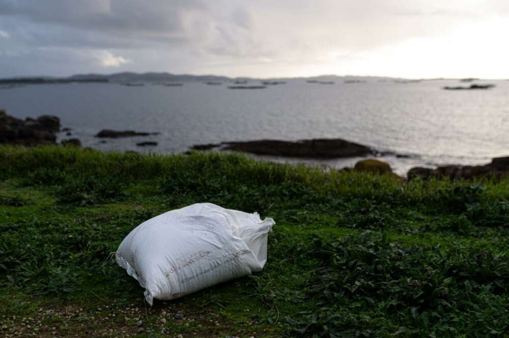 Un agente de la Policía Local y una guarda costas hacen una recogida de pellets de la arena, en la Illa de Arousa, a 4 de enero de 2024, en Pontevedra, Galicia. - Elena Fernández - Europa Press
