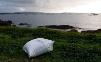 Un agente de la Policía Local y una guarda costas hacen una recogida de pellets de la arena, en la Illa de Arousa, a 4 de enero de 2024, en Pontevedra, Galicia. - Elena Fernández - Europa Press