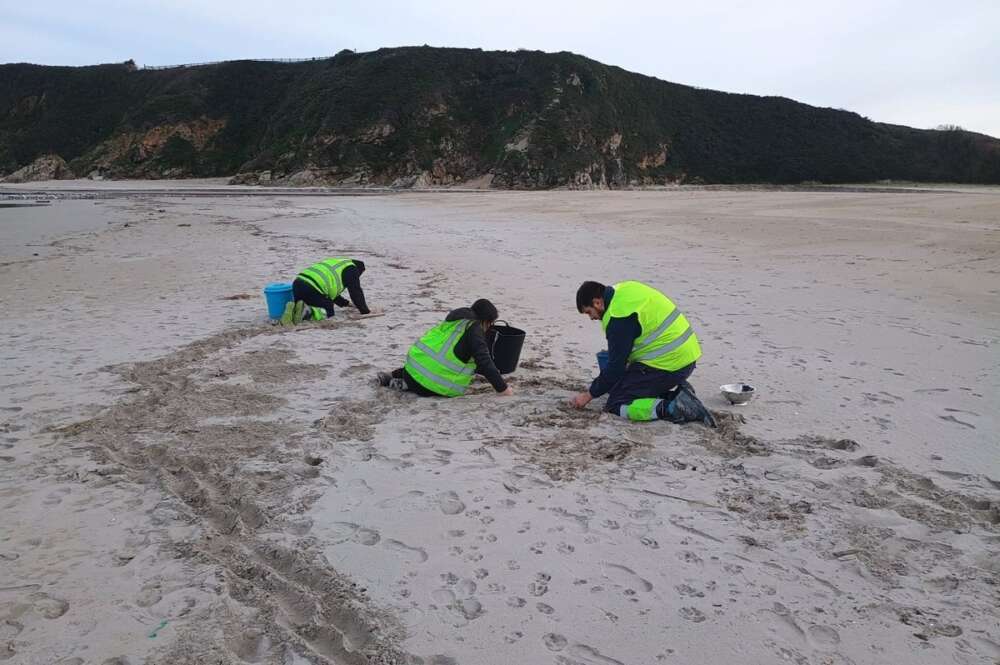 Asturias sube a situación 2 la alerta por aparición "generalizada" de pellets, mientras la Xunta se mantiene en nivel 1