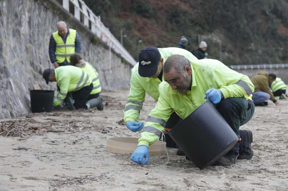 Operarios de Tragsa en Asturias recogen las bolas de 'pellets' llegadas a la costa