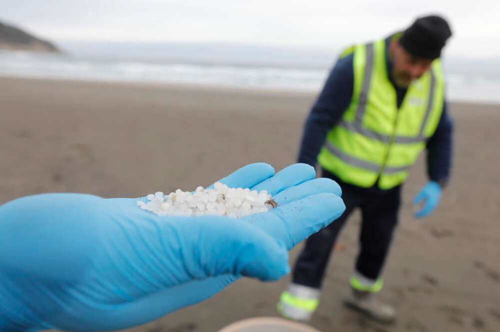 Un operario de TRAGSA coge con la mano pellets de plástico, en la playa Otur, a 9 de enero de 2024, en Valdés, Asturias (España)