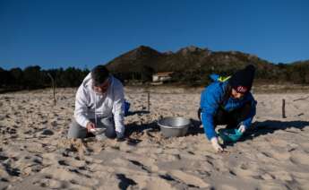 Dos voluntarios recogen las bolas de plástico que han llegado a las costas gallegas